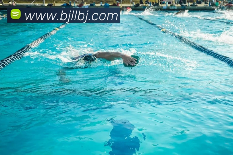 百家乐网站平台生态图